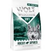 Wolf of Wilderness 