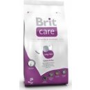 Brit Care Long Hair 2 kg