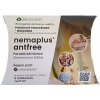 Nemaplus antfree (steinernema) 5 mil