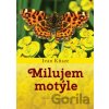 Milujem motýle - Ivan Kňaze