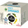 Leros Bylinkový detox Dýchacie cesty bylinný čaj na podporu zdravia dýchacích ciest pre deti 10x2 g