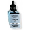 Bath & Body Works Vůně do zásuvky Wallflowers - náplň EUCALYPTUS RAIN 24 ml