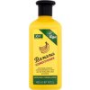 Xpel Banana Conditioner 400 ml výživný kondicionér s banánovou vôňou pre ženy