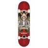 Birdhouse - Stage 1 TH Icon Red 8