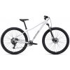 Bicykel CTM Charisma 1.0 Matná Svetlošedá 2026 M