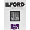1x 25 Ilford MG RC DL 44M 13x18