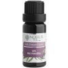 Nobilis Tilia Zmes éterických olejov Univers 10 ml