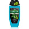 Palmolive Men Revitalising Sport sprchový gél pre mužov 3v1 250 ml