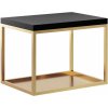Baltica Design Hege konzola 60x35x45 cm čierna-zlatá 5904107906546