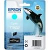 Epson T7602 Ink Cartridge Cyan, C13T76024010