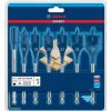 BOSCH BOSCH Sada frézovacích vrtákov EXPERT Self Cut Speed - 2608900334