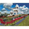 Zuty – Maľovanie Podľa Čísel – Veterný Mlyn A Tulipány (Dennis Frates), 40 × 50 cm, Plátno 8596530160328