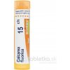 Calcarea Fluorica gra.1 x 4 g 15CH