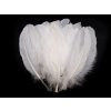 Husacie perie dĺžka 12-21 cm - 20 ks 1 biela