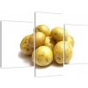 Zemiaky - obraz (Obraz 90x60cm)