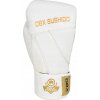Boxerské rukavice DBX BUSHIDO B-2v19 14 oz