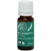 TIERRA VERDE BIO Rozmarín 10 ml