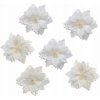 DOMMIO Vianočné ozdoby – poinsettie biele s klipsom, 15 cm, 6 ks