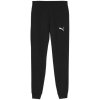 Puma Team Goal Casuals M 658598 03 pants (191604) Black M
