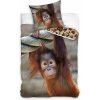 TipTrade obliečky Opica Orangutan 140x200 70x90