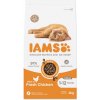 IAMS Cat Kitten kuracie mäso 10 kg