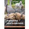 Krok za krokem k práci na dvou lonžích - Sabrina Möller