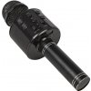 R2INVEST WS 858 BEZDRÔTOVÝ MIKROFÓN KARAOKE čierny