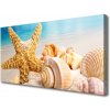 Obraz na plátne Hviezdice mušle umenie 100x50 cm