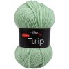 Vlna - Hep příze Tulip 41303 pastelově zelená