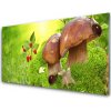 Nástenný panel Huby divoké jahody 100x50 cm