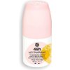 Yves Rocher 48 H roll-on s harmančekom 50 ml