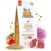 Brit Care Hypoallergenic Junior Large Breed Lamb 12 kg