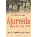 Ájurvéda na každý den - Vinod Verma