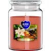 Bispol Vonná svíčka ve skle s víkem VANILLA - AMBER 500 g