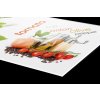 DIMEX | Plexisklo za kuchynskú linku PGT-06060-003 | 60 x 60 cm Korenie + Plexisklo za kuchynskú linku DIMEX v rozmere 60 x 60 cm, Korenie + Lepidlo zadarmo