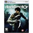 Dark Sector