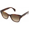 Ray-Ban RB0880S 954 51