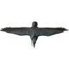 Plašič vtákov, Havran čierny, letiaci 80x11x45cm