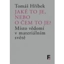 Jak é to je, nebo o čem to je? - Tomáš Hříbek