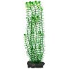 Tetra Egeria densa (Anacharis ) 30 cm