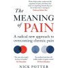 Meaning of Pain