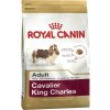 Granule pre psov Royal Canin Adult Cavalier King Charles 1,5 kg