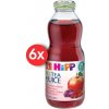 HiPP BIO Nápoj s ovocnú šťavou a šípkovým čajom 6 x 0,5l