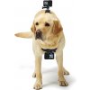 GoPro Fetch ADOGM-001