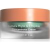 Haruharu Wonder Centella Phyto & 5 Peptide Concentrate Cream multifunkčný krém pre výživu a hydratáciu 30 ml