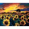 ZUTY Maľovanie podľa čísel POLE PLNÉ SLNEČNÍC Rámovanie vypnuté plátno na rám Rozmer 80 x 100 cm