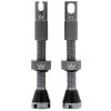 Peaty´s Chris King MK 2 Tubeless Valves - Slate 42 mm
