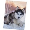 TipTrade Mikroplyšová deka Pes Sibiřský Husky 150x200