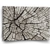 Sablio Obraz Drevo - 60x40 cm