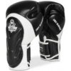 Boxerské rukavice BB5 DBX Bushido 10oz.